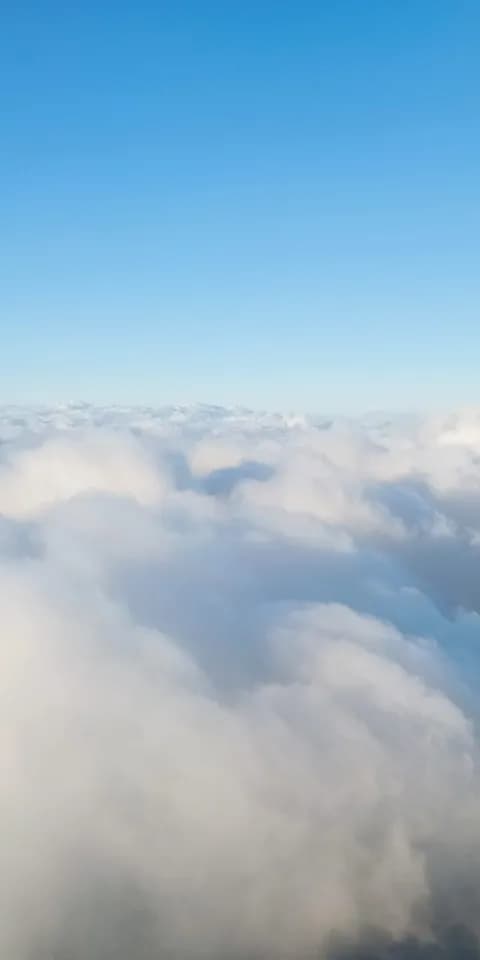 Airlines connected with us